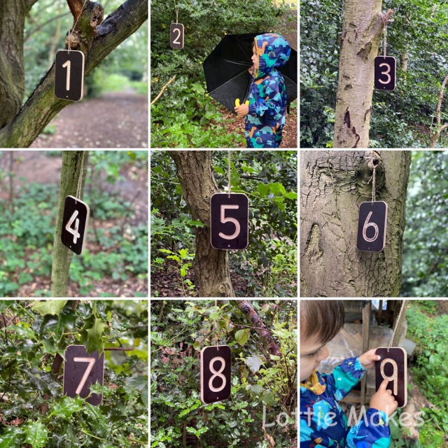 Woodland Games: Playing games like “a number hunt”
