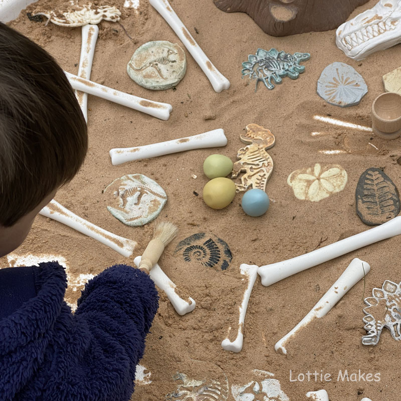 Digging for dinosaur fossils and bones